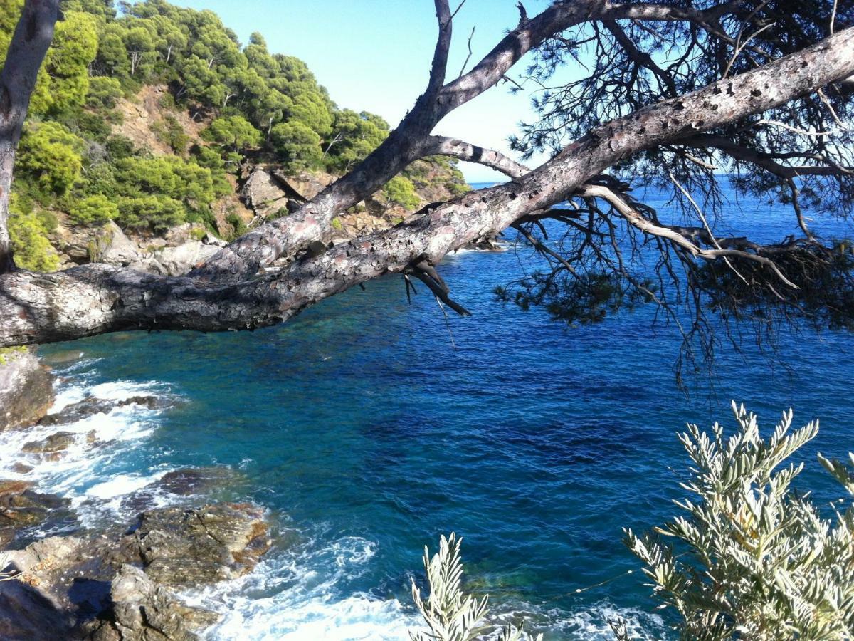 Villa De Vacances Au Calme Proche De La Mer La Londe-les-Maures ภายนอก รูปภาพ