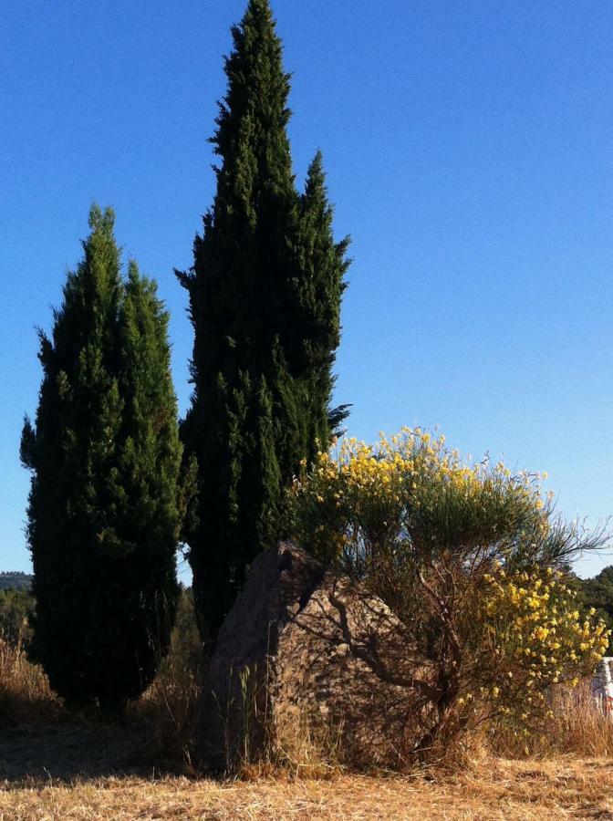 Villa De Vacances Au Calme Proche De La Mer La Londe-les-Maures ภายนอก รูปภาพ